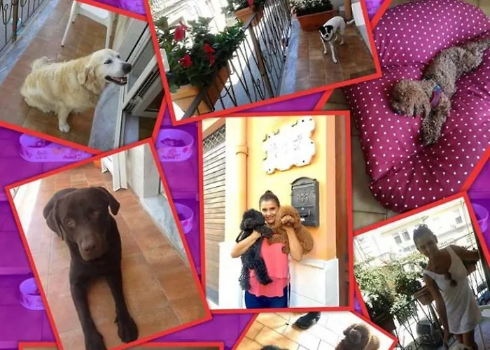 Casa Del Sole Accomodation Тропея