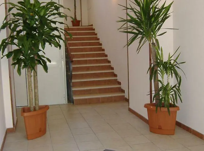 ゲストハウス Casa Del Sole Accomodation トロペーア